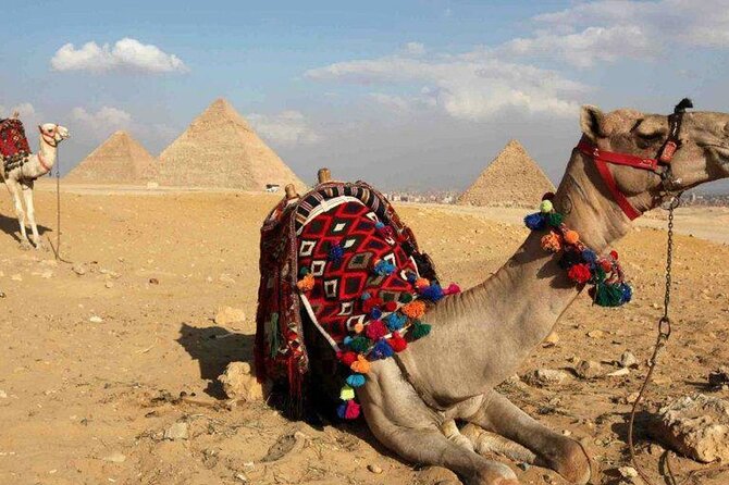 Day Trip to Cairo from Hurghada By Bus - Bazaar shopping and the possible replacement stops