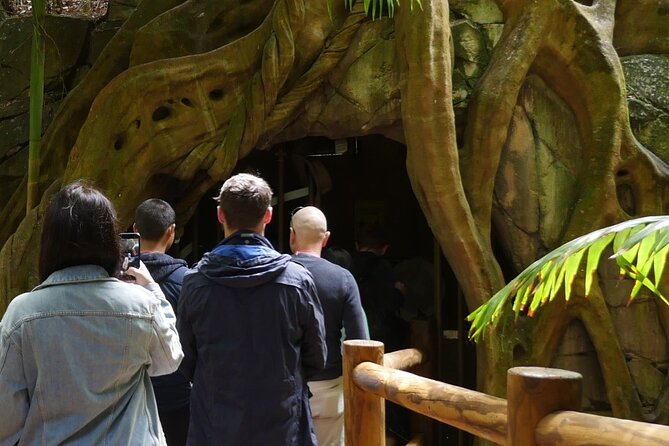 Daytime Scenic Rim Glow Worm Tour + Hop on Hop off Bus - From Brisbane into the Scenic Rim