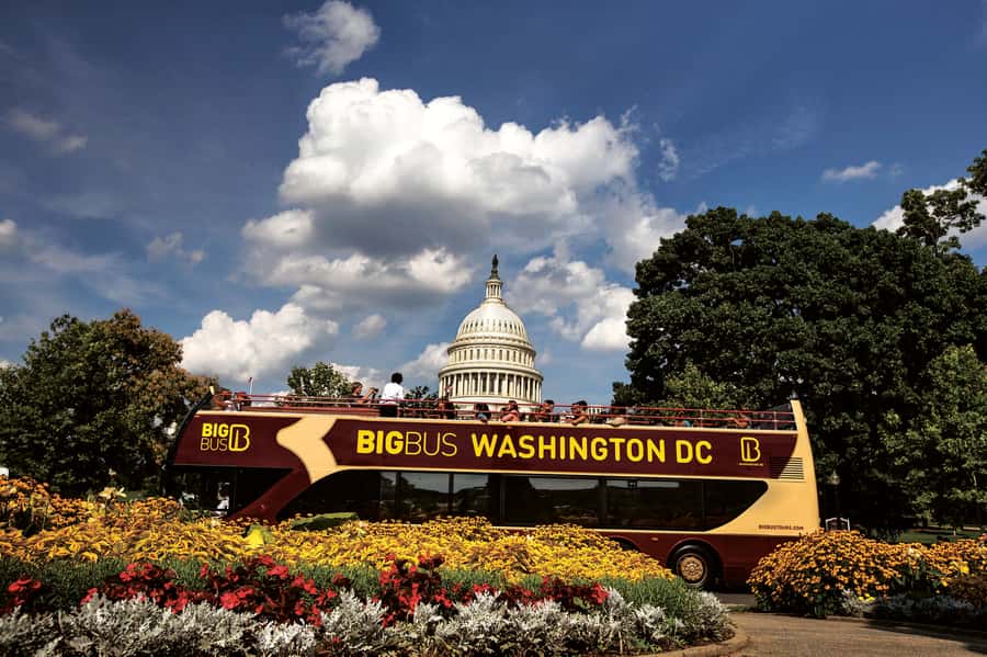 DC: Hop-on Hop-off, Arlington Walking Tour, and Night Tour - Why this three-part package makes sense in Washington