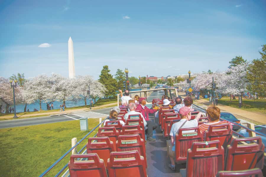 DC: Hop-on Hop-off, Arlington Walking Tour, and Night Tour - What you get for $75