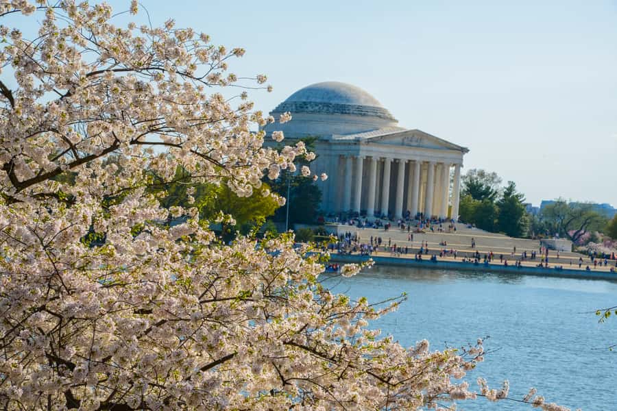 DC: Hop-on Hop-off, Arlington Walking Tour, and Night Tour - How to activate your ticket