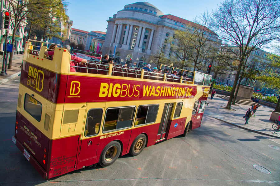 DC: Hop-On Hop-Off with 17 Stops plus Arlington Walking Tour - Practical details before you book