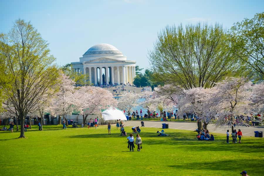 DC: Hop-On Hop-Off with 17 Stops plus Arlington Walking Tour - What the $49 ticket really buys you