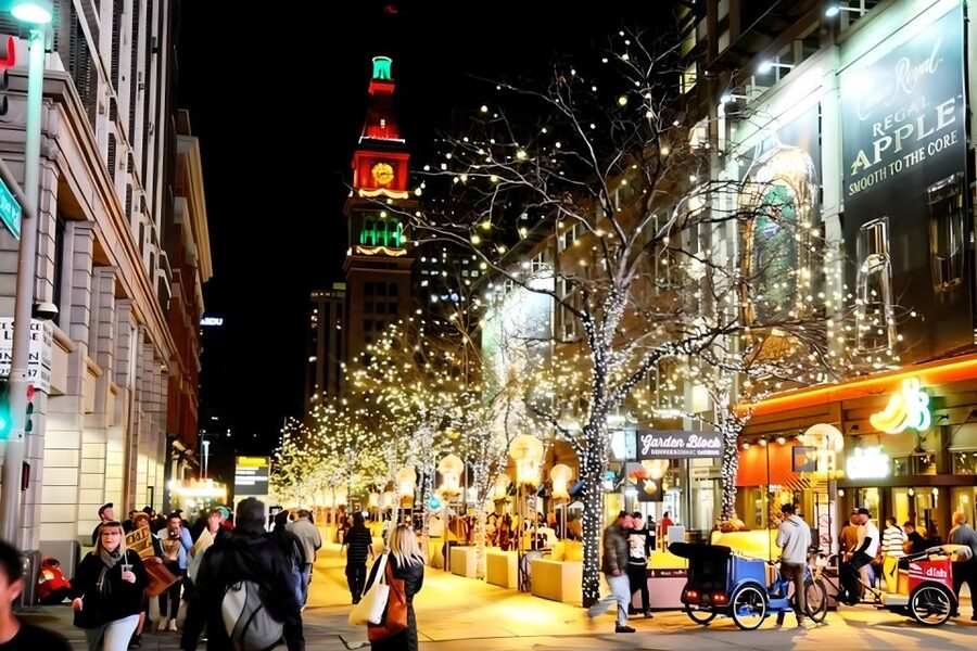 Denver: Holiday Lights & Sights Bus Tour - Winter clothing and practical planning