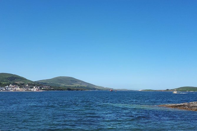 Dingle Peninsula & Slea Head - Private Mini Bus Tour - Reask makes early medieval Ireland feel tangible