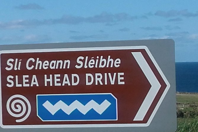 Dingle Peninsula & Slea Head - Private Mini Bus Tour - Two hours in Dingle gives the day a welcome change