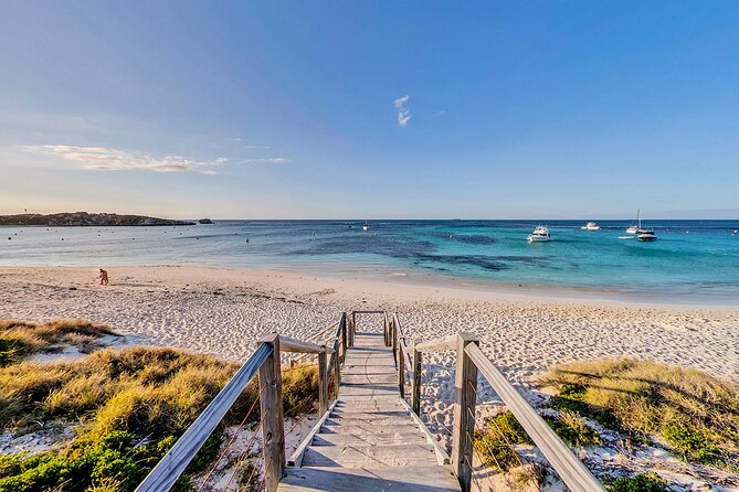 Discover Rottnest with Ferry & Bus Tour - Finding quokkas around Thompson Bay