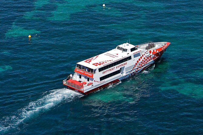 Discover Rottnest with Ferry & Bus Tour - Making good use of the free afternoon