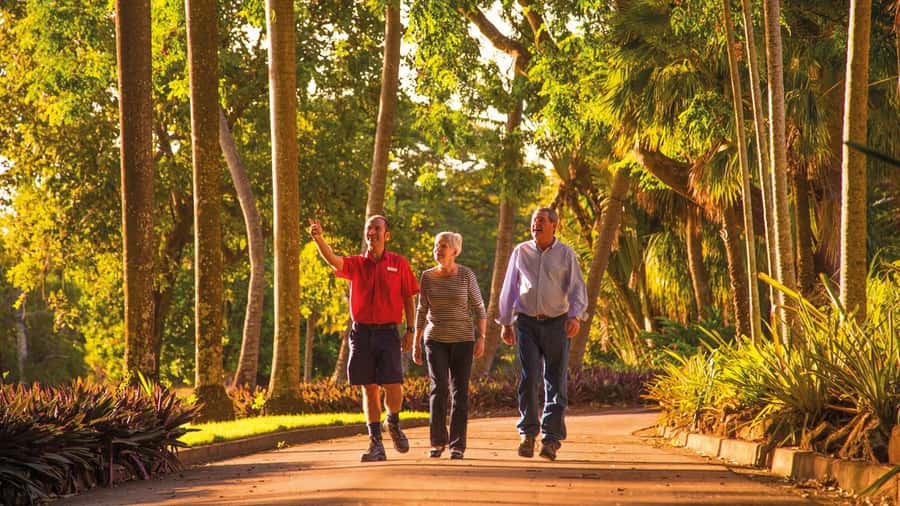 Discover the City of Darwin: Half-Day City Coach Tour - Starting with Darwin’s tropical Botanic Gardens