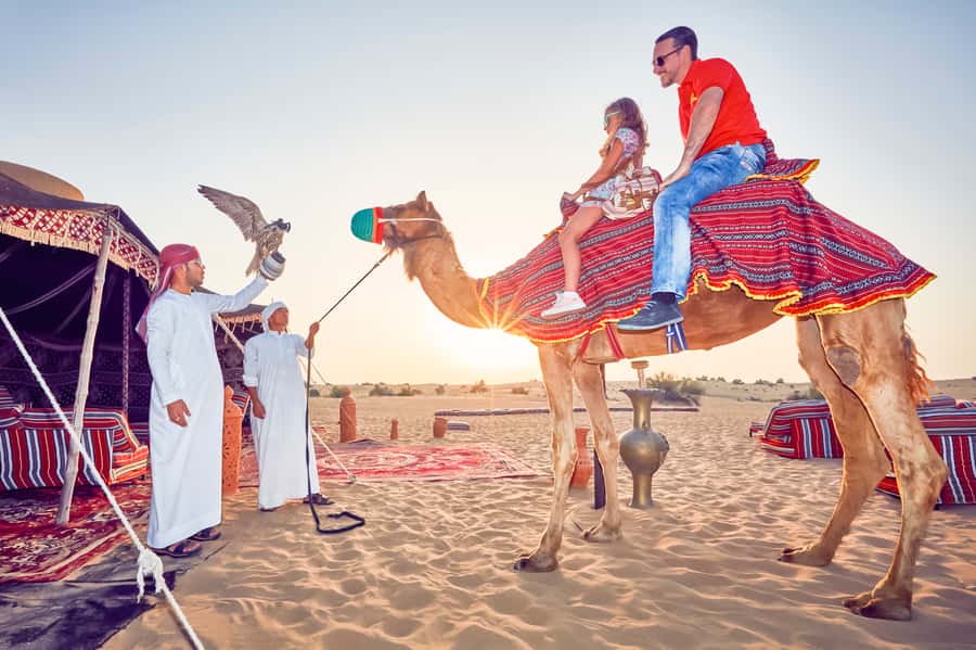 Dubai: Big Bus Hop-On Hop-Off Tour & Optional Dhow Cruise - What the five-day pass adds