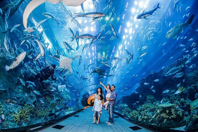 Dubai City Pass: all inclusive Pass with Hop On Hop Off & tours - Take in the city from The View at 240 metres
