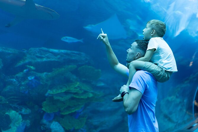 Dubai City Pass: all inclusive Pass with Hop On Hop Off & tours - Meet the sea on the Dhow Cruise and speedboat