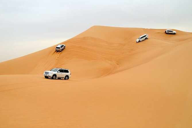 Dubai City Pass: all inclusive Pass with Hop On Hop Off & tours - Make room for the desert safari
