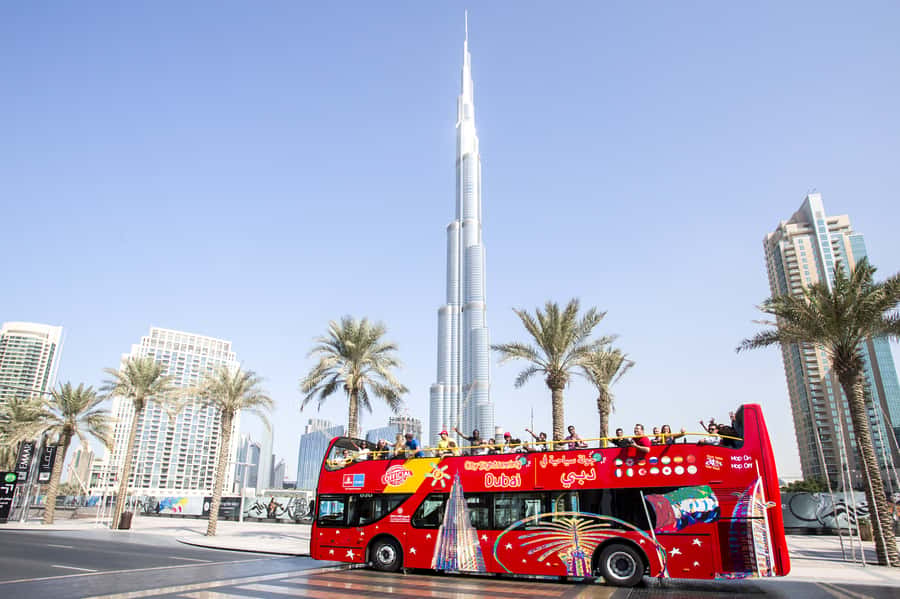 Dubai: City Sightseeing HOHO Bus Tour + Sunset & Night Tour - Blue Route: Palm Jumeirah, Marina, and the coast