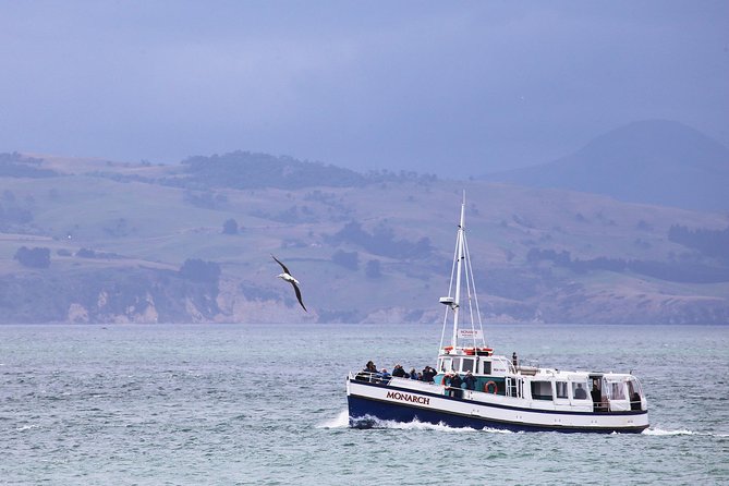 Dunedin City to Sea Wildlife Cruise + Peninsula Bus Tour - Why this tour works well in Dunedin