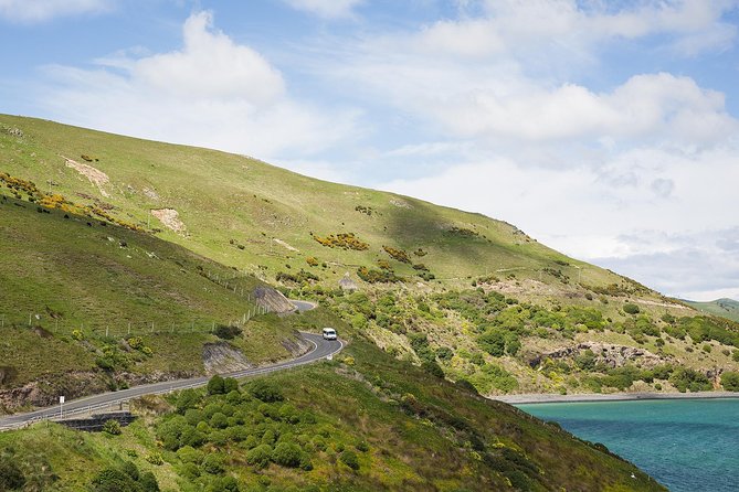 Dunedin City to Sea Wildlife Cruise + Peninsula Bus Tour - Taiaroa Head and the Royal Albatross colony