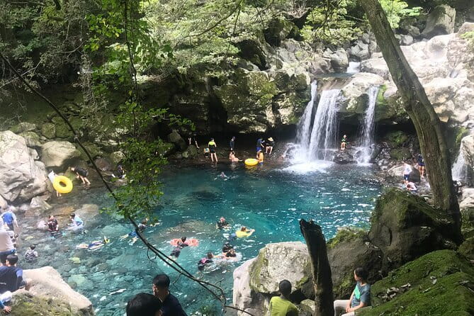 East of Jeju island Bus Tour from Seogwipo city, Jeju island - Key points to know before booking