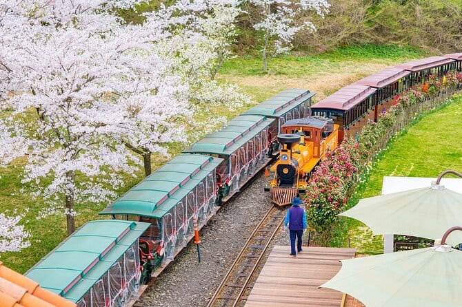 East of Jeju island Bus Tour from Seogwipo city, Jeju island - Manjanggul Cave, or the current replacement route