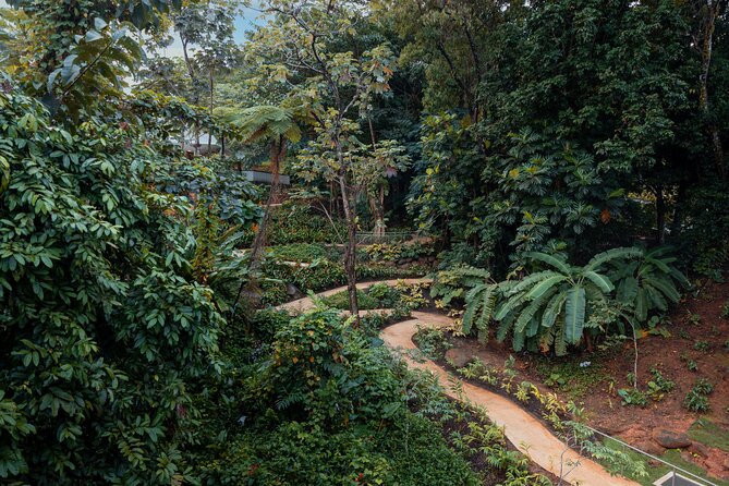 El Yunque Rainforest EZ-going Bus Tour (wheelchair accessible) - Why this El Yunque tour works for an easy day