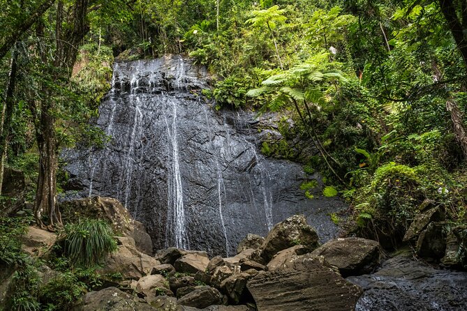 El Yunque Rainforest EZ-going Bus Tour (wheelchair accessible) - Juan Diego Falls for an optional short walk