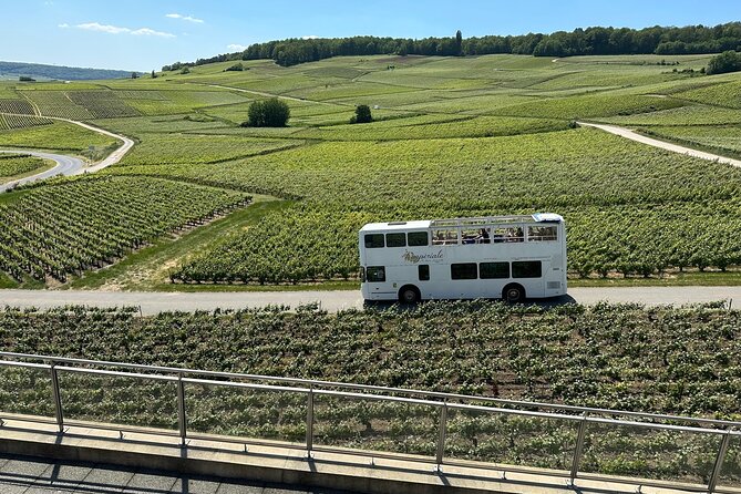 Épernay and Champagne Open-Top Bus Tour with 3 Tastings - Is $108.37 a fair price?