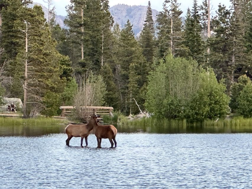 Estes Park: Rocky Mountain National Park Glass-Top Bus Tour - Alpine Visitor Center at 11,796 feet