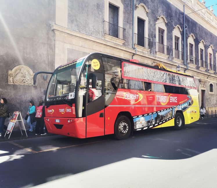 Etna by Panoramic Bus, Audioguide 9 languages, from Catania - The Etna details worth knowing first