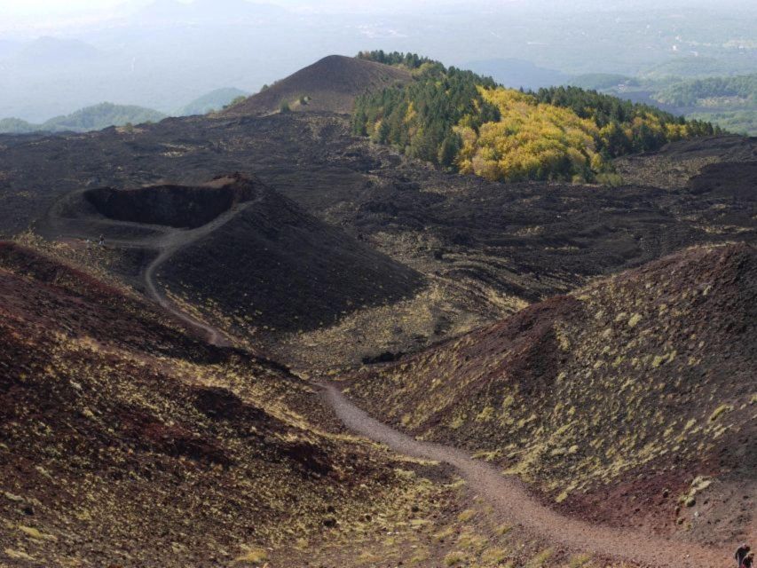 Etna Tour by Panoramic Bus - Who should choose this bus tour?
