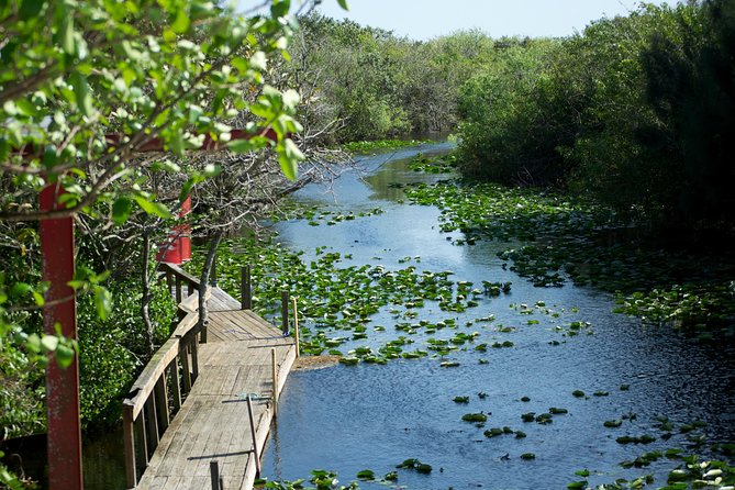 Everglades Airboat, Wildlife Show, and Roundtrip Bus From Miami - Who will enjoy this tour most?