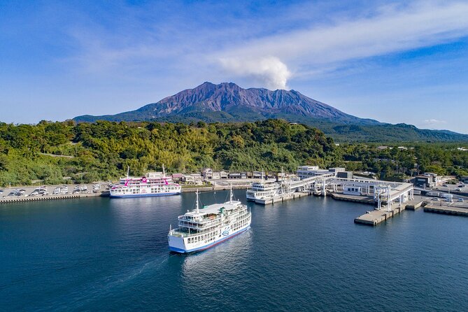 Explore Kagoshima Sightseeing Spots by Kagoshima City View Bus - What the $150.53 price really covers