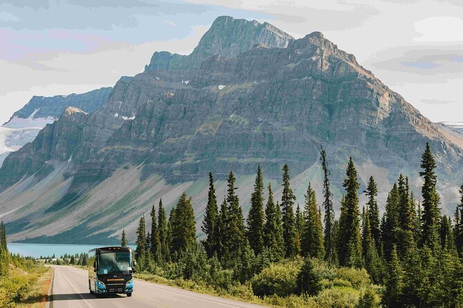 Explore Moraine and Louise Roundtrip from Banff Shared Bus Tour - Lake Louise in a 45-minute window