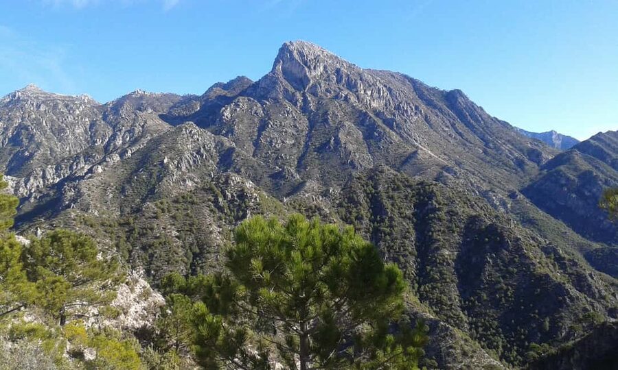 Explore the Nerja National Park nature in our open-top jeeps - Mountain roads, wildlife, and wide views
