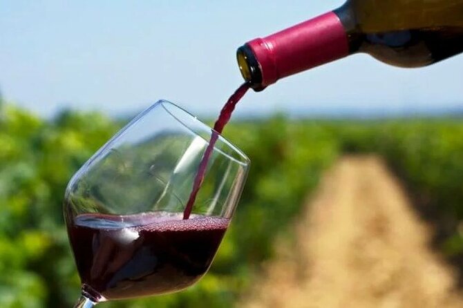 Franschhoek Wine Tram Hop On Hop Off Tour - Six hours requires a little planning