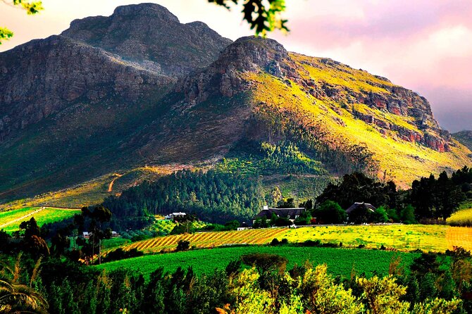 Franschhoek Wine Tram Hop-On Hop-Off Tour from Cape Town. - Who will enjoy this wine tram day?
