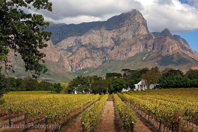 Franschhoek Wine Tram Hop-On Hop-Off Tour from Cape Town. - Choosing between the two routes