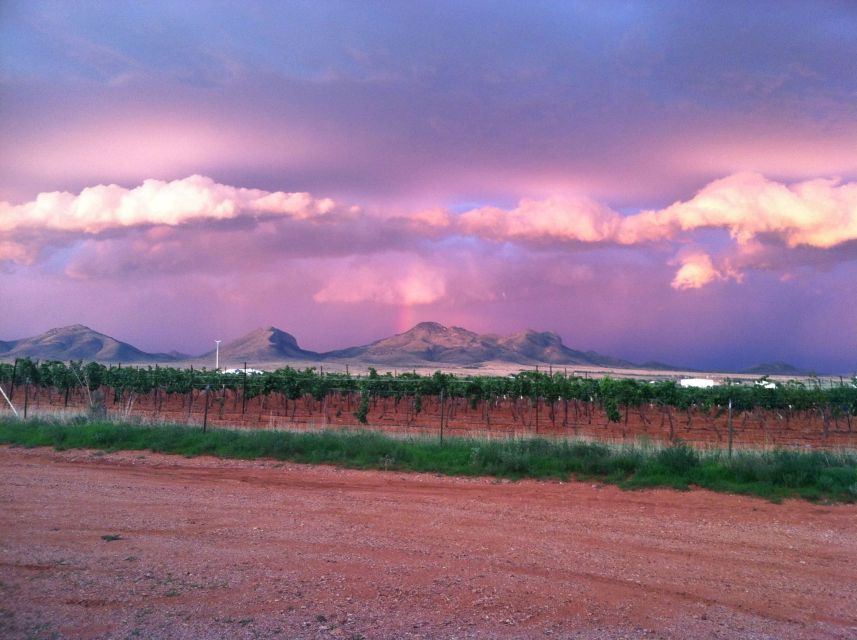 Friday: Tombstone & Bisbee; 9h Tour bus from Tucson - Should you book the Tombstone and Bisbee tour?