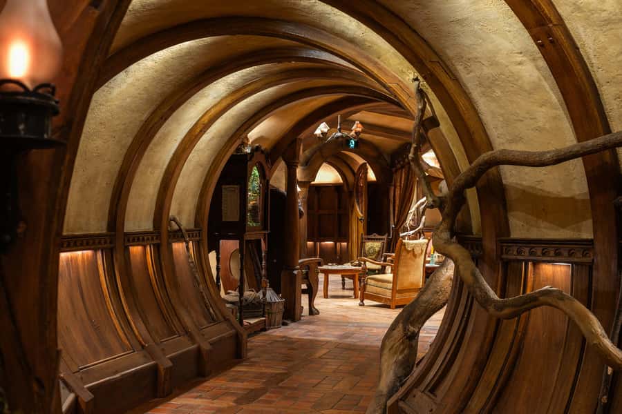 From Auckland: Waitomo & Hobbiton Bus Tour with Lunch - Five things to know before you book