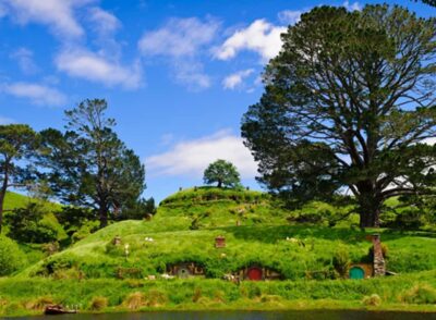 Waitomo & Hobbiton Bus Tour with Lunch