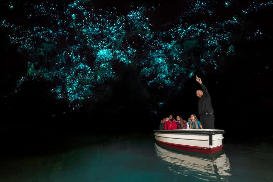 From Auckland: Waitomo & Hobbiton Bus Tour with Lunch - Is $261 a fair price?