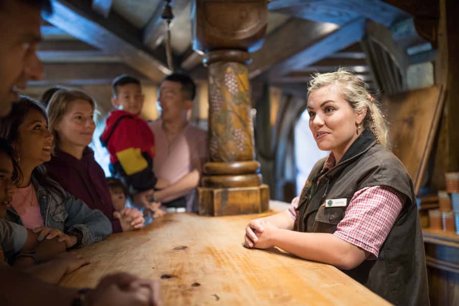 From Auckland: Waitomo & Hobbiton Bus Tour with Lunch - Who will enjoy this day most?