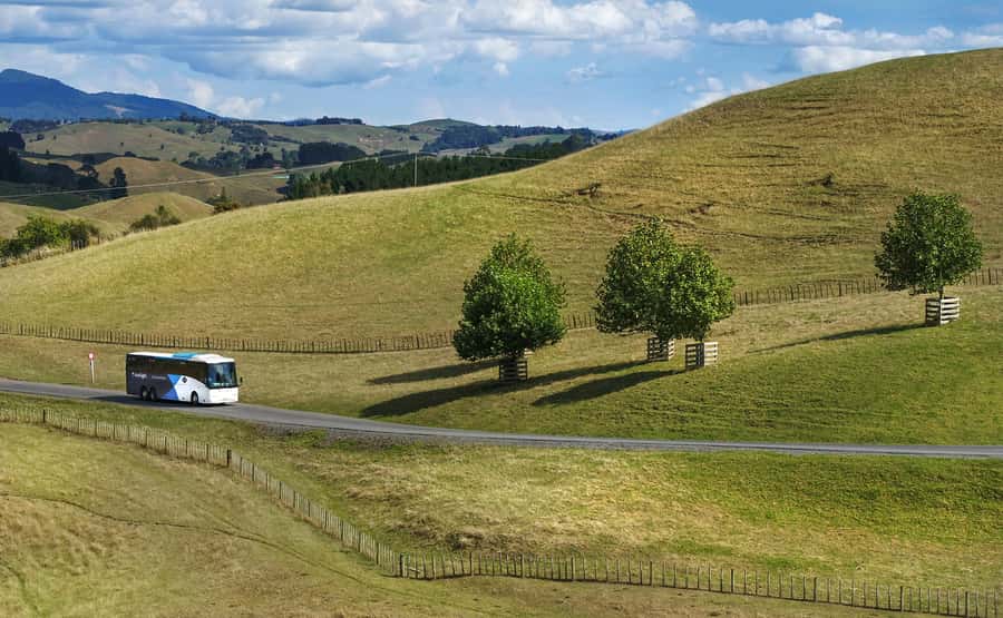 From Auckland: Waitomo & Hobbiton Bus Tour with Lunch - Should you book this tour?