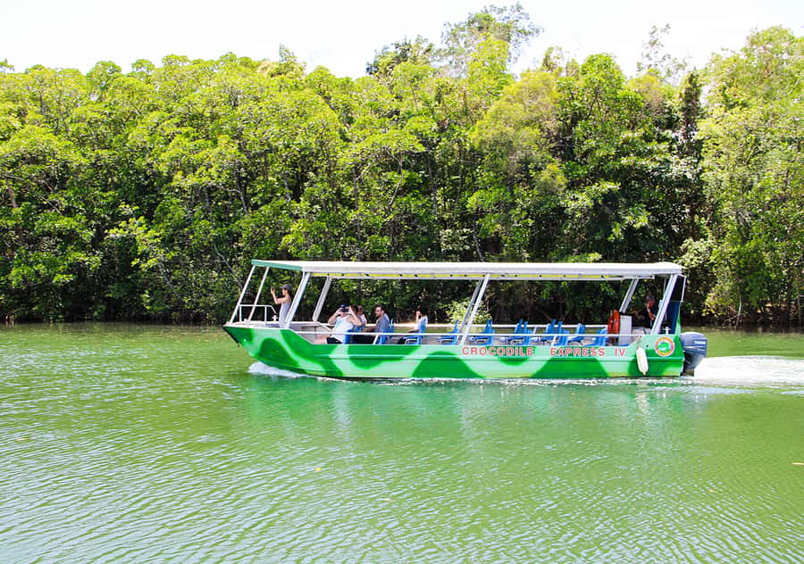 From Cairns: Daintree Wilderness & Cape Tribulation Bus Tour - Why this Daintree tour works well from Cairns