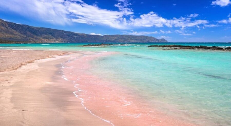 From Chania: Elafonisi Island Day Tour by Bus - Key points to know before booking
