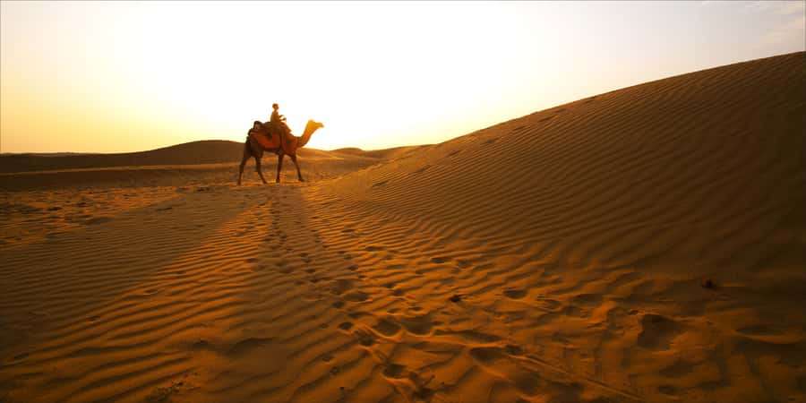 From Doha: Exclusive Monster Bus Safari Experience - Forty-five minutes over the towering dunes