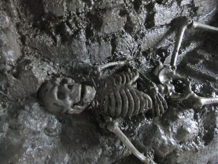 From Dublin: Gravedigger Ghost Bus Tour - Is the 4D bus worth the extra appeal?