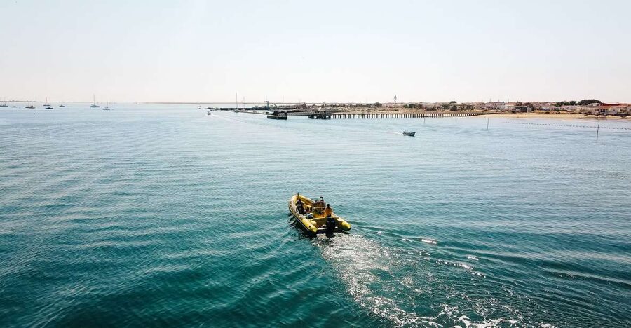 From Faro: Ria Formosa Hop-On Hop-Off 3 Islands Cruise - Key things to know before you go