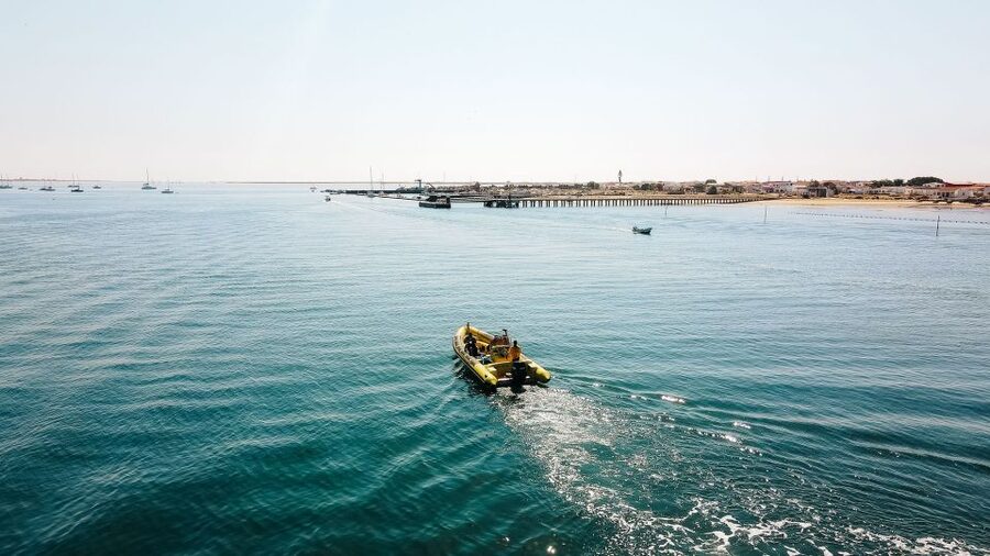 From Faro: Ria Formosa Hop-On Hop-Off 3 Islands Cruise - Farol Island and its lighthouse village