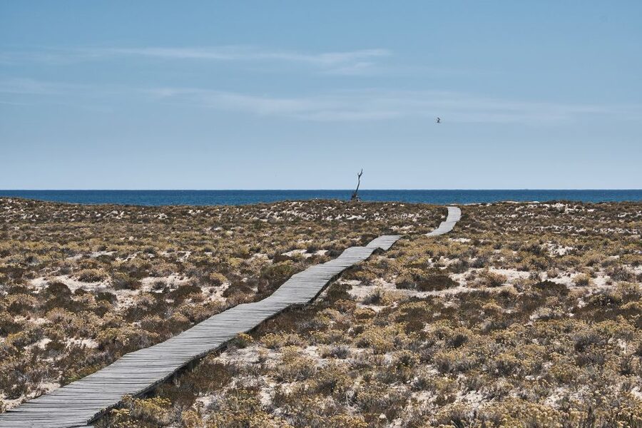 From Faro: Ria Formosa Hop-On Hop-Off 3 Islands Cruise - What the $47 price really gets you