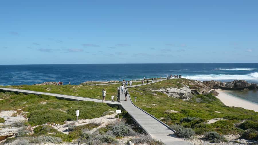 From Fremantle: Rottnest Island Ferry & Bus Day Tour - Key points before you book