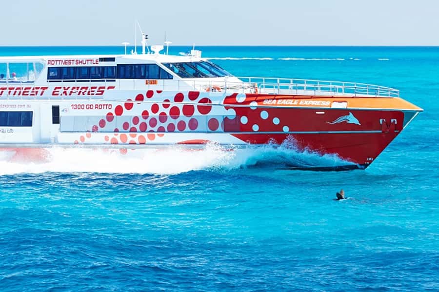 From Fremantle: Rottnest Island Ferry & Bus Day Tour - Why this Fremantle to Rottnest plan works